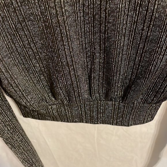 Paperoc Women’s Gray Silver Thread Dress Pants Midrift Blouse Size Large - Picture 8 of 16